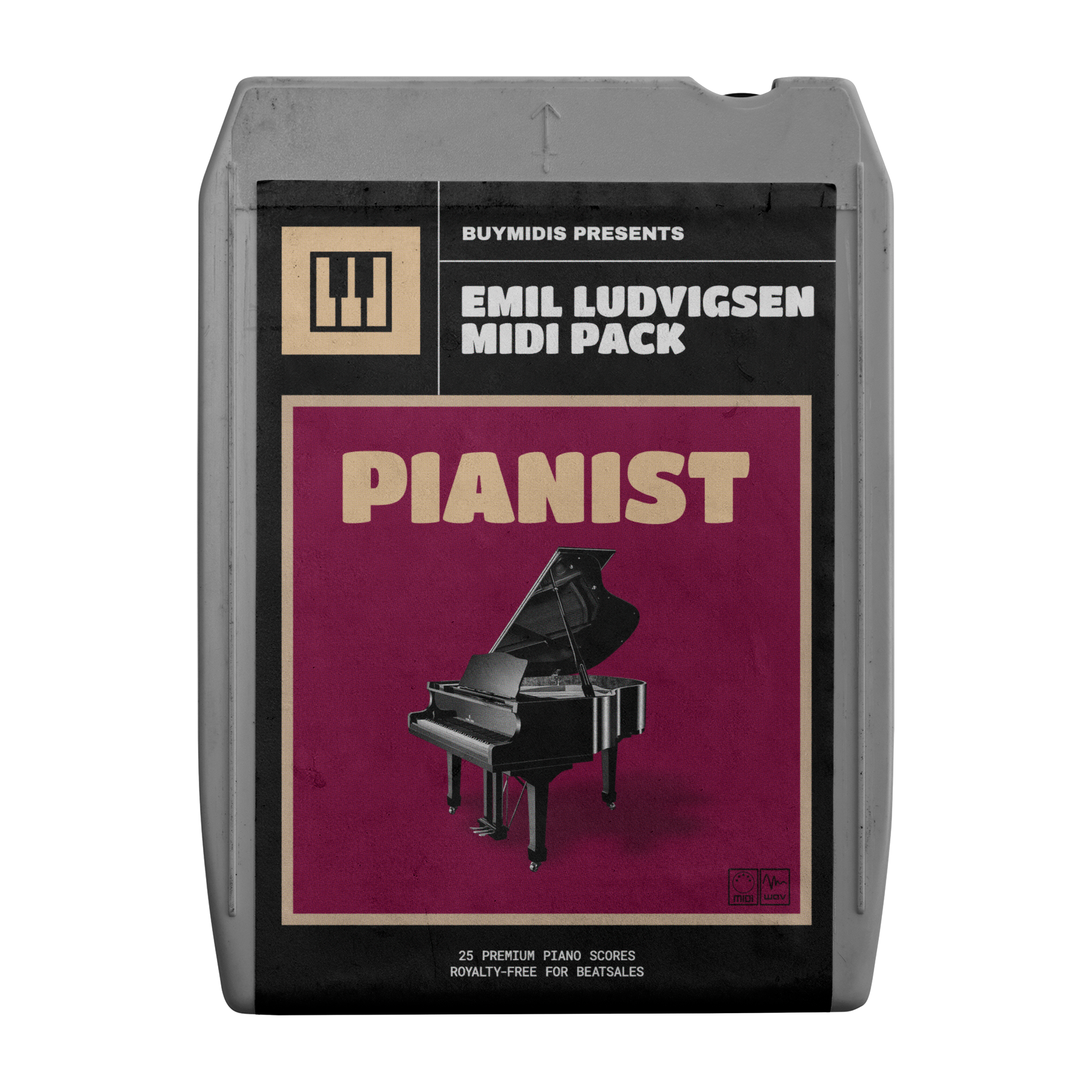 Emil Ludvigsen - Pianist